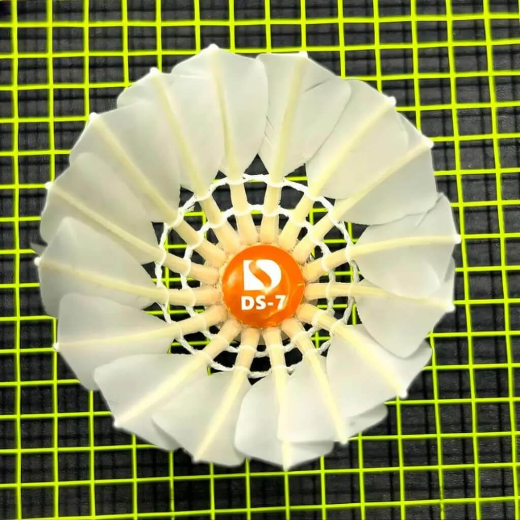 DESEN Badminton Ball 12-Piece Pack